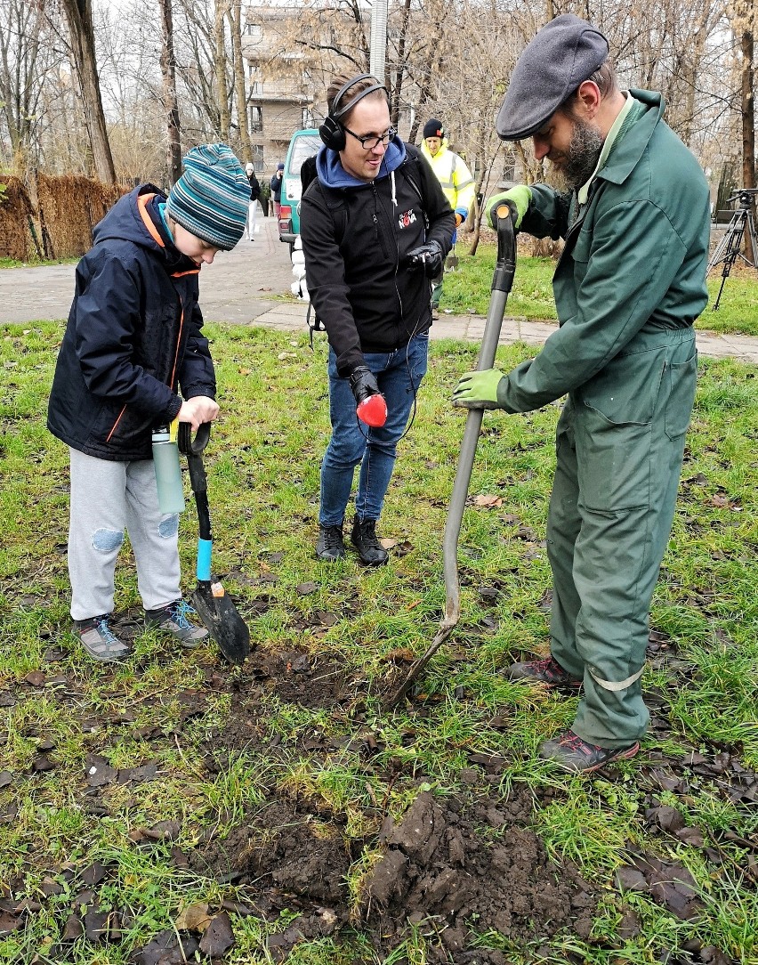 Kraków. Mieszkańcy Krowodrzy założyli jabłoniowy sad. To projekt realizowany przez członków grupy Ogrodnicza Krowodrza [ZDJĘCIA]