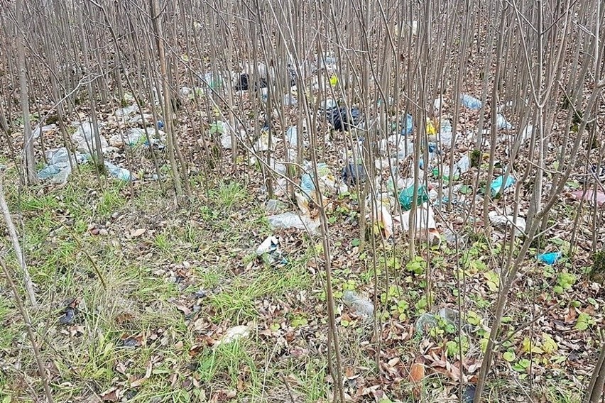 Cykliści z Suchedniowa zebrali górę śmieci na pięknym wzgórzu Barbarka. Śmiecą kierowcy i mieszkańcy