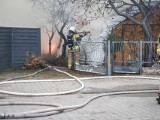 Duży pożar pieczarkarni w Lesznie. Zagrożone były sąsiednie domy. Na pomoc poszkodowanym przybiegli sąsiedzi