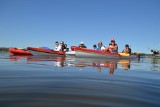 Wielkie sprzątanie brzegów Jeziora Charzykowskiego zakończone sukcesem | ZDJĘCIA, WIDEO