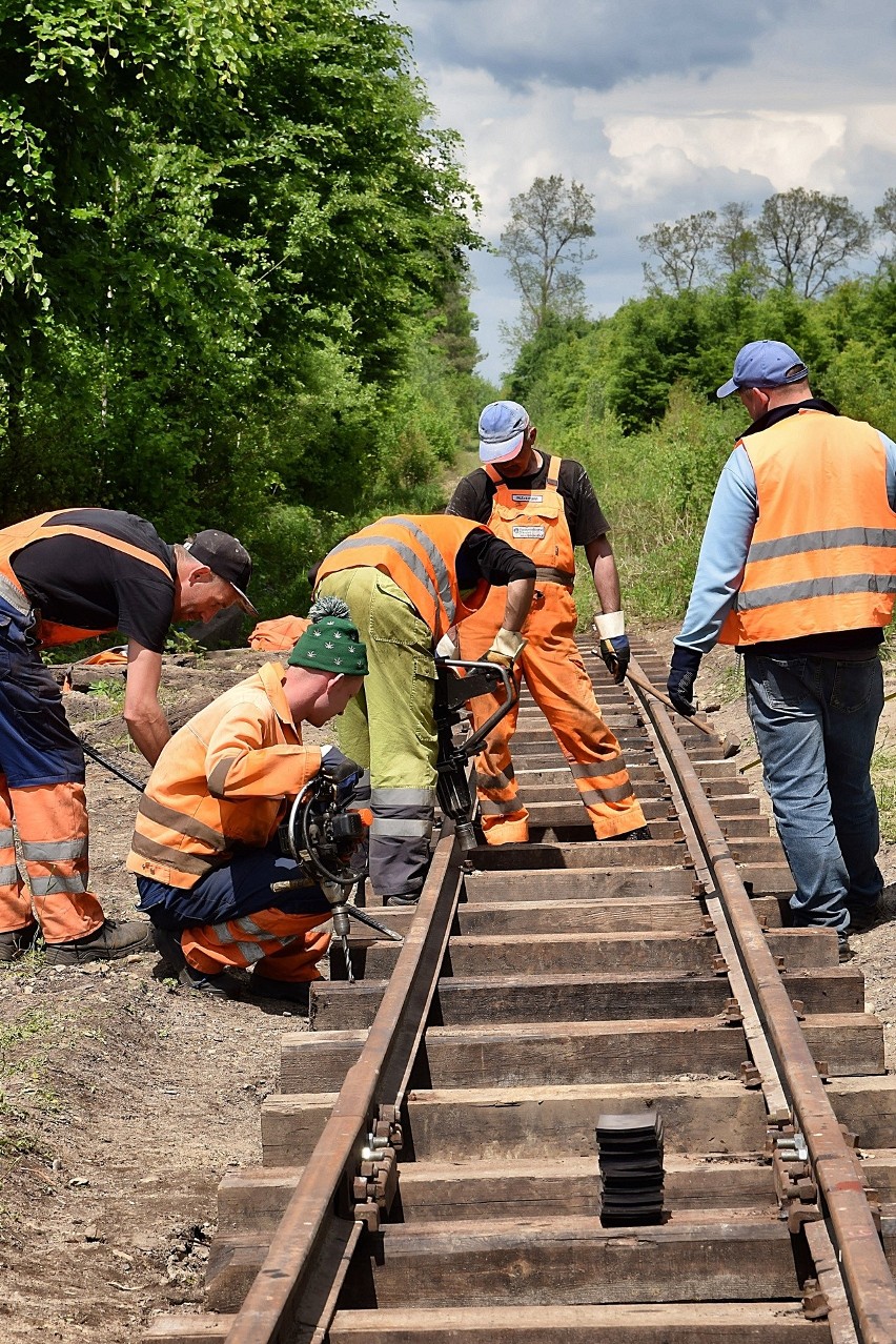 Trwa remont Starachowickiej Kolejki Wąskotorowej. Po 15 czerwca znów pojedziemy na wycieczkę (ZDJĘCIA) 