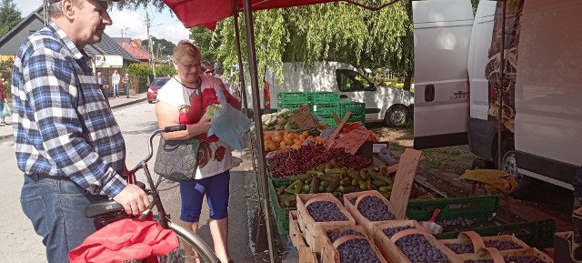 W czwartek, 20 lipca na targowisku w Jędrzejowie trudno było znaleźć stragan z owocami i warzywami bez kolejek. Zobaczcie na kolejnych slajdach jakie były ich ceny