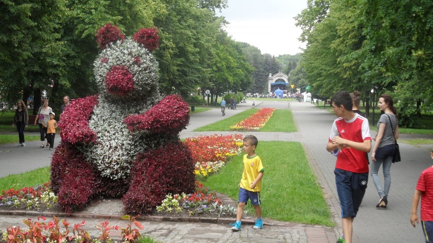 Festiwal Zaolziański w Parku Śląskim w Chorzowie.