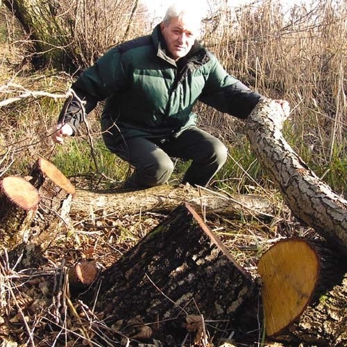 - Ktoś bezmyślnie wyciął drzewa i zniszczyl miejsca gniazdowania ptaków - mówi Bronislaw Szablewski, wedkarz z Leborka. - Nie mozemy dopuścic do tego, zeby wycieto wiecej drzew.