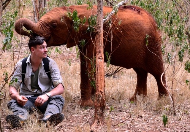 Nowe zoo: Spalą kość słoniową, by ocalić słonie