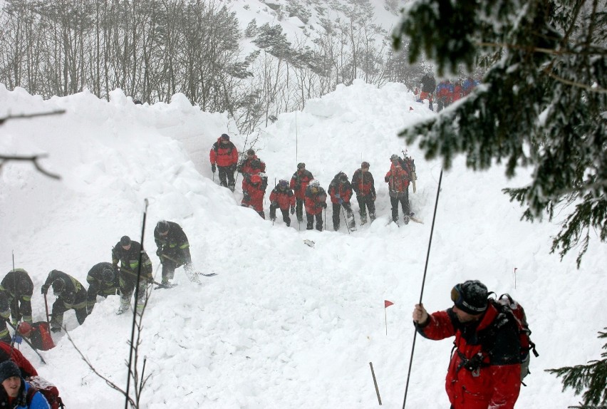 Jedna z lawin, które zeszły w Białym Jarze - 2008 rok