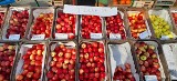 Ceny warzyw i owoców na giełdzie w Sandomierzu w sobotę, 22 października. Ile kosztowały jabłka i śliwki? Zobacz zdjęcia 