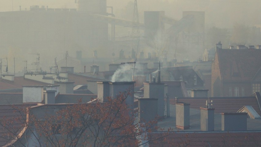 Duża ilość skarg trafiających na biurko RPO dotyczy ochrony...