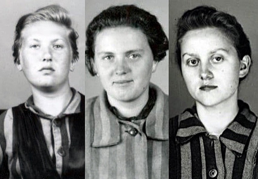Muzeum Auschwitz udostępniło możliwość wyszukiwania ofiar,...