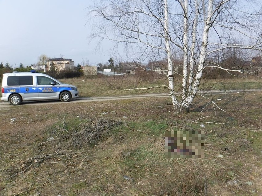 Makabrycznego znaleziska dokonał jeden z mieszkańców rejonów...