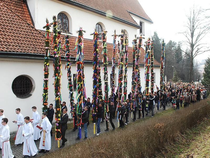 Niech wiara będzie tak piękna, jak palmy