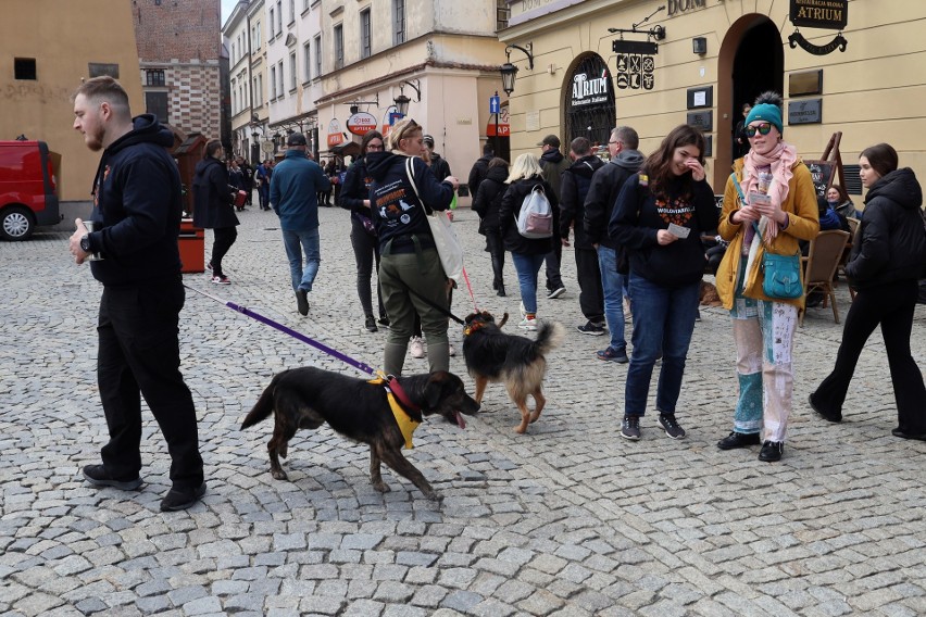 Ulicami Starego Miasta przeszły psy ze Schroniska dla Bezdomnych Zwierząt [FOTO]