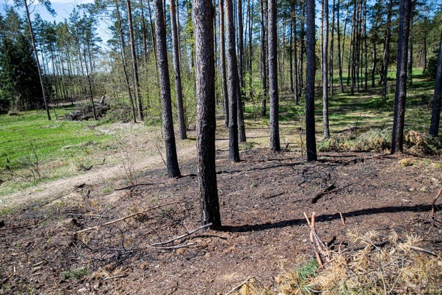 Tak wyglądało pogorzelisko tydzień po tragedii.