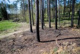 77-latka spłonęła nieopodal lasu koło Wasilkowa. "To nie samopodpalenie, a prawdopodobnie nieszczęśliwy wypadek" - uznała prokuratura