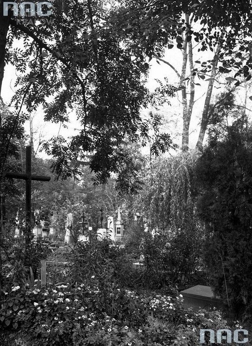 Cmentarz Rakowicki w Krakowie

Fragment cmentarza, 1926 rok