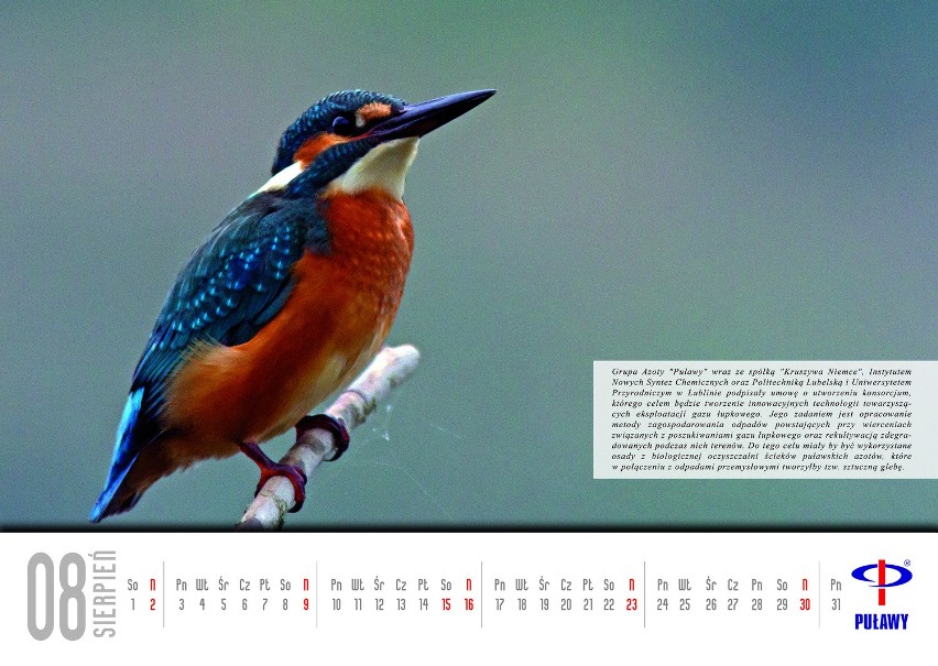 W poniedziałek z Kurierem Lubelskim otrzymasz wyjątkowy kalendarz Azotów Puławy (ZDJĘCIA)