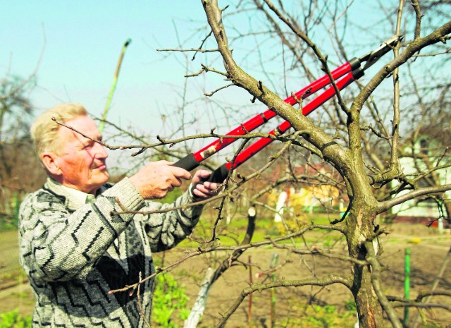 Seniorzy Poznań: co warto wiedzieć? dokąd się wybrać w nadchodzącym tygodniu? Stowarzyszenie “Lepszy Świat” zaprasza w lutym na dwa spotkania dotyczące pielęgnacji ogrodów