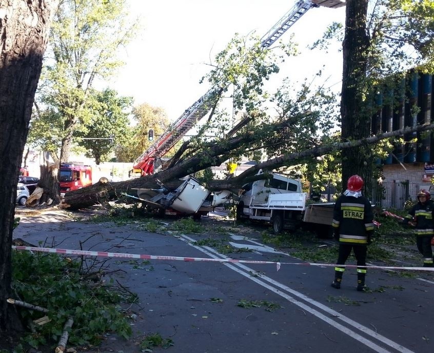 Wichura w Łodzi. Na ul. 6 Sierpnia drzewo runęło na jadące samochody! [zdjęcia]