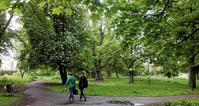 Park Jalu Kurka