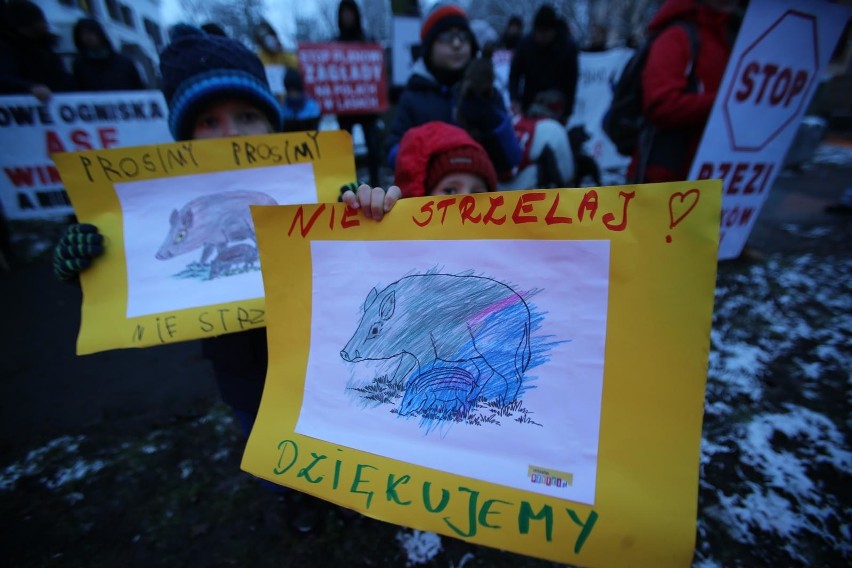 Protest przeciwko polowaniom na dziki