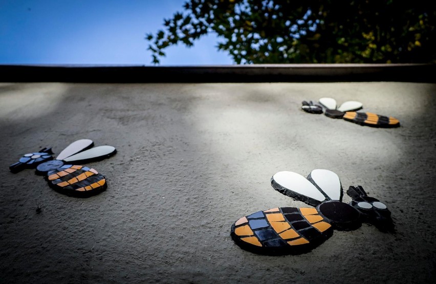Miś i pszczoły - wyjątkowa mozaika w Bytomiu. Jej wzór nie jest przypadkowy!