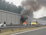 LUBUSKIE: Pożar renault na S3. Ludzie próbowali gasić płonący samochód