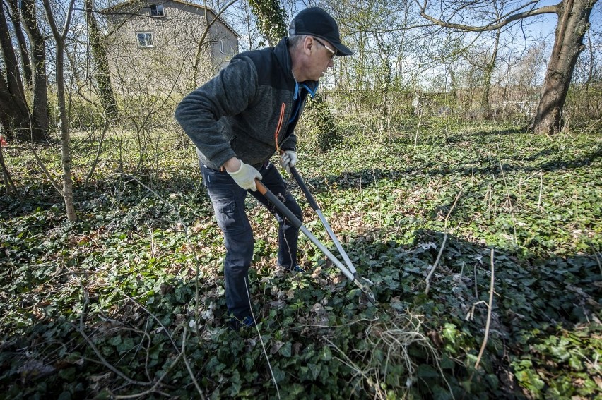 Celem inicjatywy jest stworzenie miejsca pamięci na terenie...