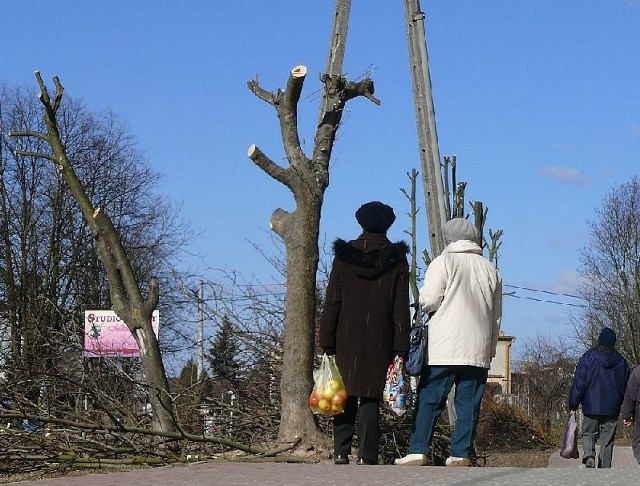 Na ulicy Jana Pawła II w Staszowie ekipy przedsiębiorstwa komunalnego obcięły wszystkie gałęzie na drzewach. Mieszkańcy uważają, że takie działanie to niszczenie drzew.