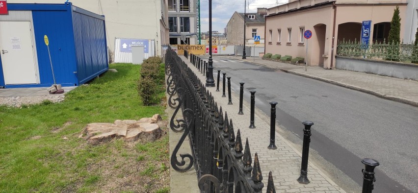 Kolejne drzewo wycięte w centrum Lublina. „Aż serce boli, jak się na to patrzy”