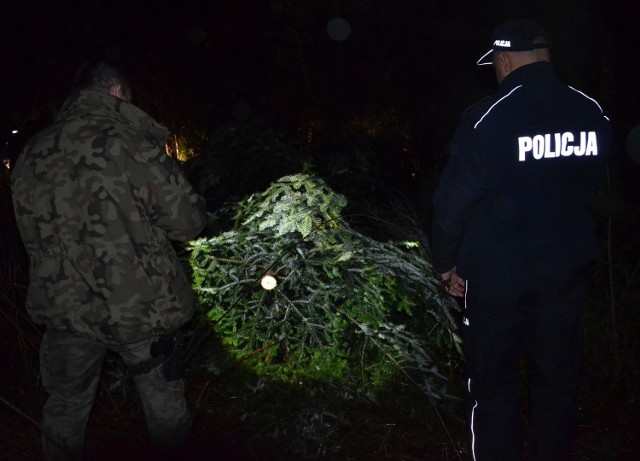 Policjanci i strażnicy leśni prowadzą przedświąteczną akcję "Choinka-kłusownik".