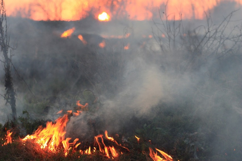 Koniec świata według królowej Saby. Jak będzie wyglądał koniec świata i kiedy nastąpi? Zobacz proroctwa królowej Saby [12.03.2019]