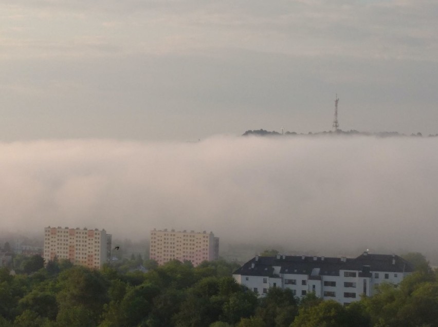 Gęsta mgła nad Przemyślem. Piękne zdjęcia Daniela [GALERIA]