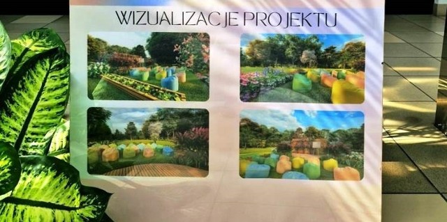 Wynik konkursu „Zielone Innowacje dla Szkół”