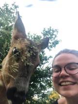 Selfie z sarną? To możliwe. Oswojona sarenka z gminy Brody nie boi się ludzi. Została przez nich odchowana, następnie wypuszczona na wolność