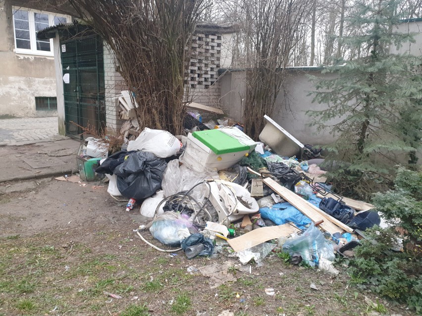 Wysypisko śmieci przy bloku na osiedlu Mireckiego  - nie ma chętnych do posprzątania  