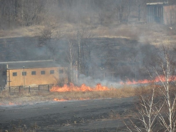Pożar łąk w Milowicach