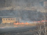 Wielki pożar łąk w Sosnowcu-Milowicach [WIDEO]