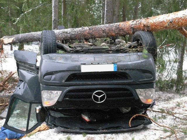 Wypadek mercedesa w m. Serski Las. Auto wypadło z drogi i uderzyło w drzewo