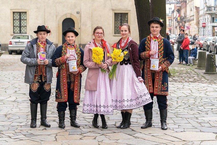 W Nowym Sączu po raz kolejny zakwitły Pola Nadziei