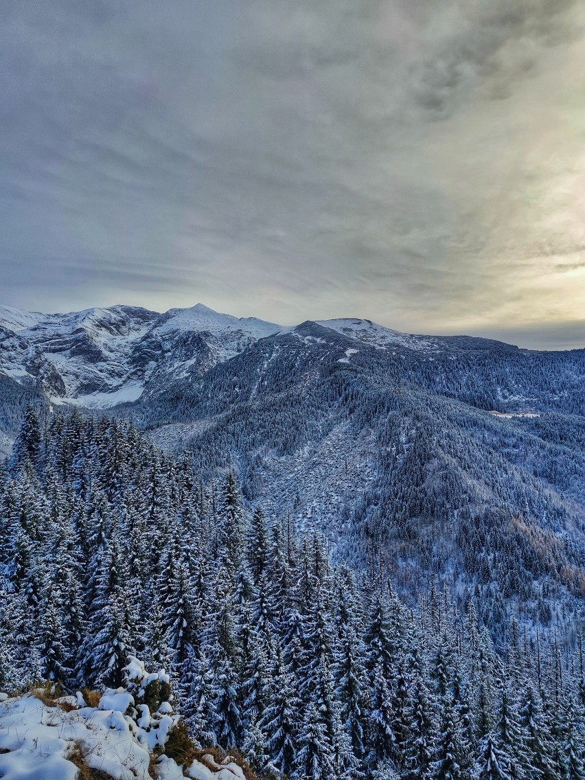 Tatry. Zima zagląda w góry. Tatry Zachodnie ośnieżone. Wyglądają niesamowicie