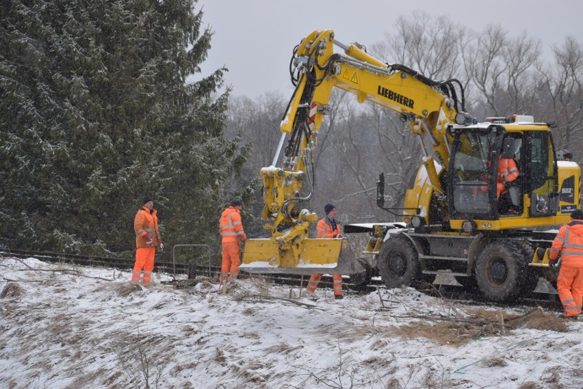 Remont lini kolejowej nr 108. Mają nią podróżować uchodźcy [ZDJĘCIA]