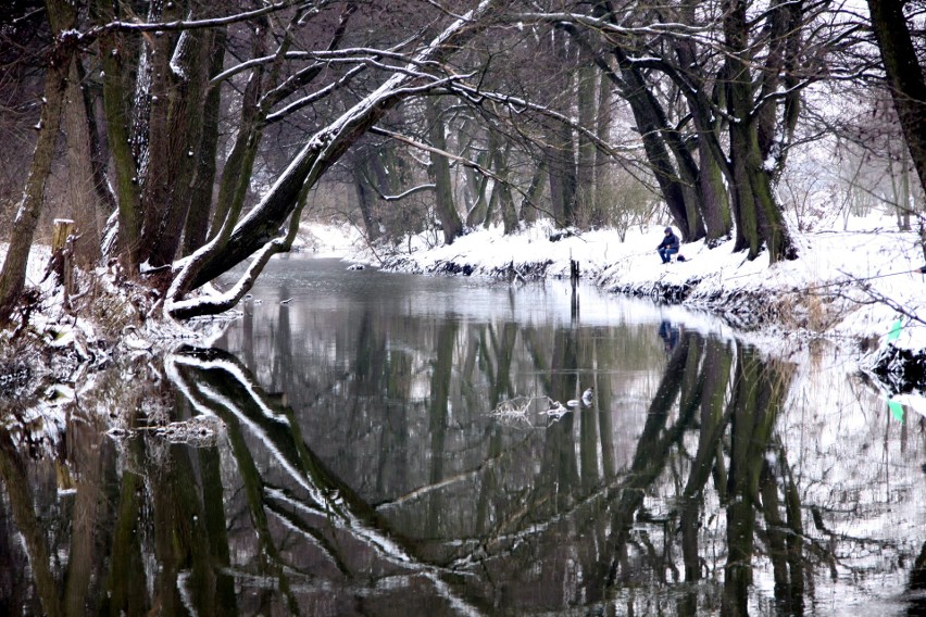 27.01.2019 Lublin, Zalew Zemborzycki, wędkowanie zimą