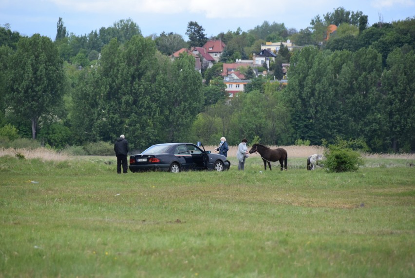 Takie widoki na Kanale Ulgi w Gorzowie!