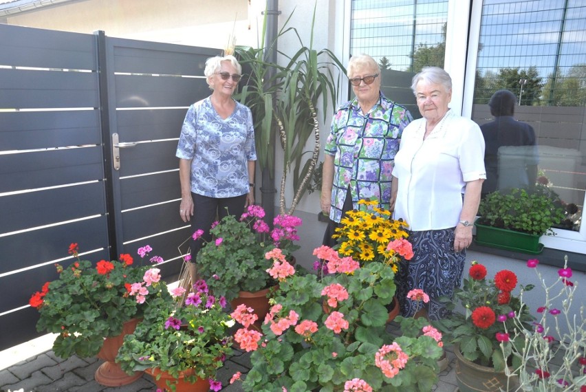 Kęckie seniorki mają „dobrą rękę” do kwiatów. Ich ogród przy Dziennym Domu Senior-Wigor zachwyca [ZDJĘCIA]