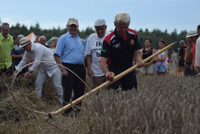 Powiatowy Festiwal Żniwny w Lubojnie. Pokazano, jak kiedyś wyglądała ciężka praca rolników