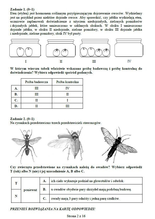 Egzamin gimnazjalny 2014: Matematyka i przyroda