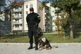 W raciborskiej policji szkolą psy [ZDJĘCIA]