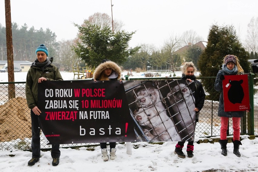 Protest Basty pod hasłem "Uratuj szynszylę - Szczecin bez futra"