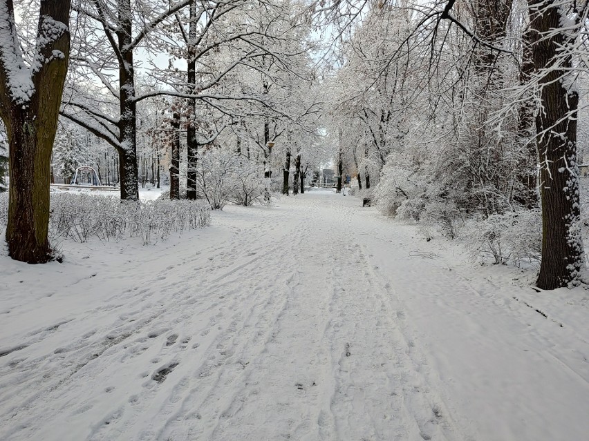 Tak wyglądał park Plany w Białymstoku 2 stycznia 2024