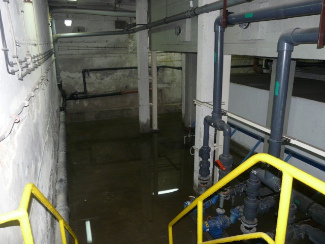 Pod nieckę basenu wpłynęło ponad 400 m.sz. wody. Przyczyną zalania jest pęknięcie rury w systemie.